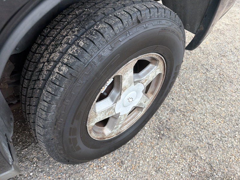 Chevrolet TrailBlazer LS 4WD 2004