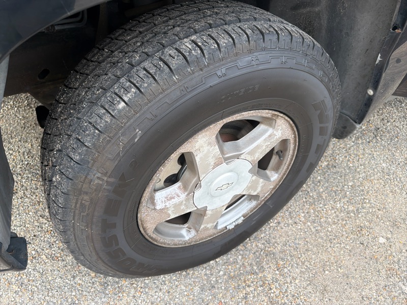 Chevrolet TrailBlazer LS 4WD 2004