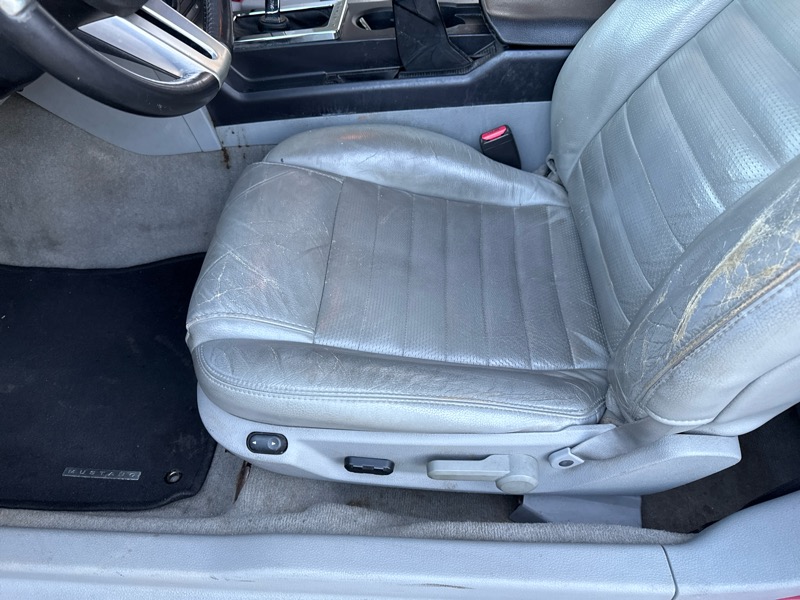 Ford Mustang GT Deluxe Coupe 2006