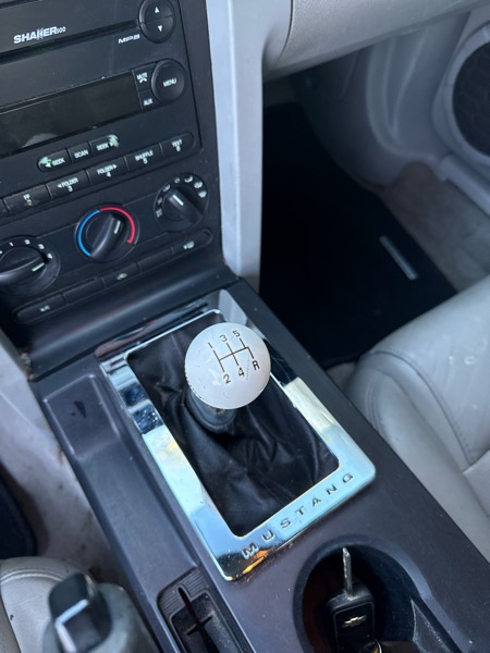 Ford Mustang GT Deluxe Coupe 2006