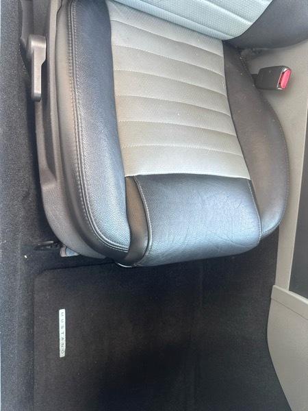 Ford Mustang GT Deluxe Coupe 2007