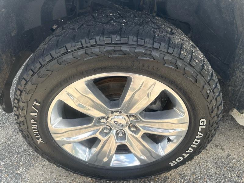 Ford F-150 4WD SuperCrew 157" Platinum 2015