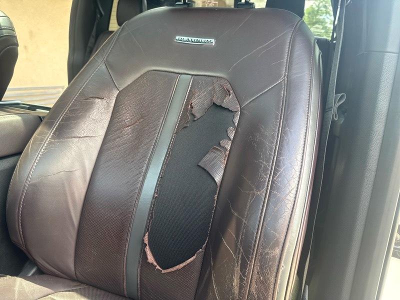 Ford F-150 4WD SuperCrew 157" Platinum 2015