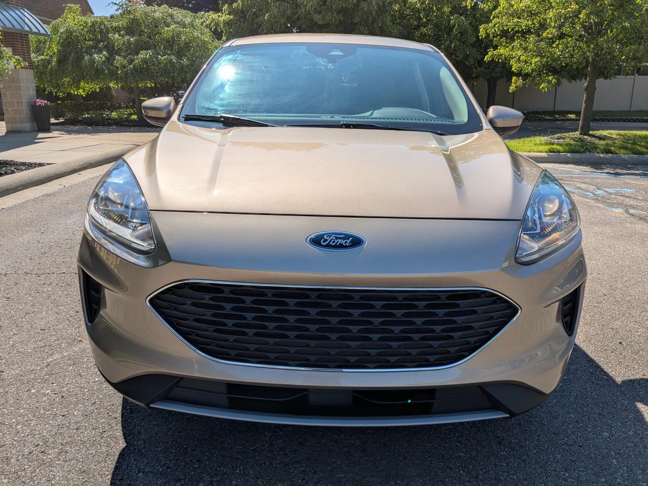 Ford Escape SE AWD 2020