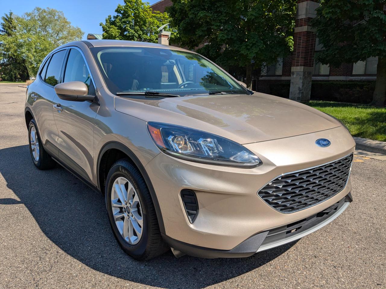 Ford Escape SE AWD 2020