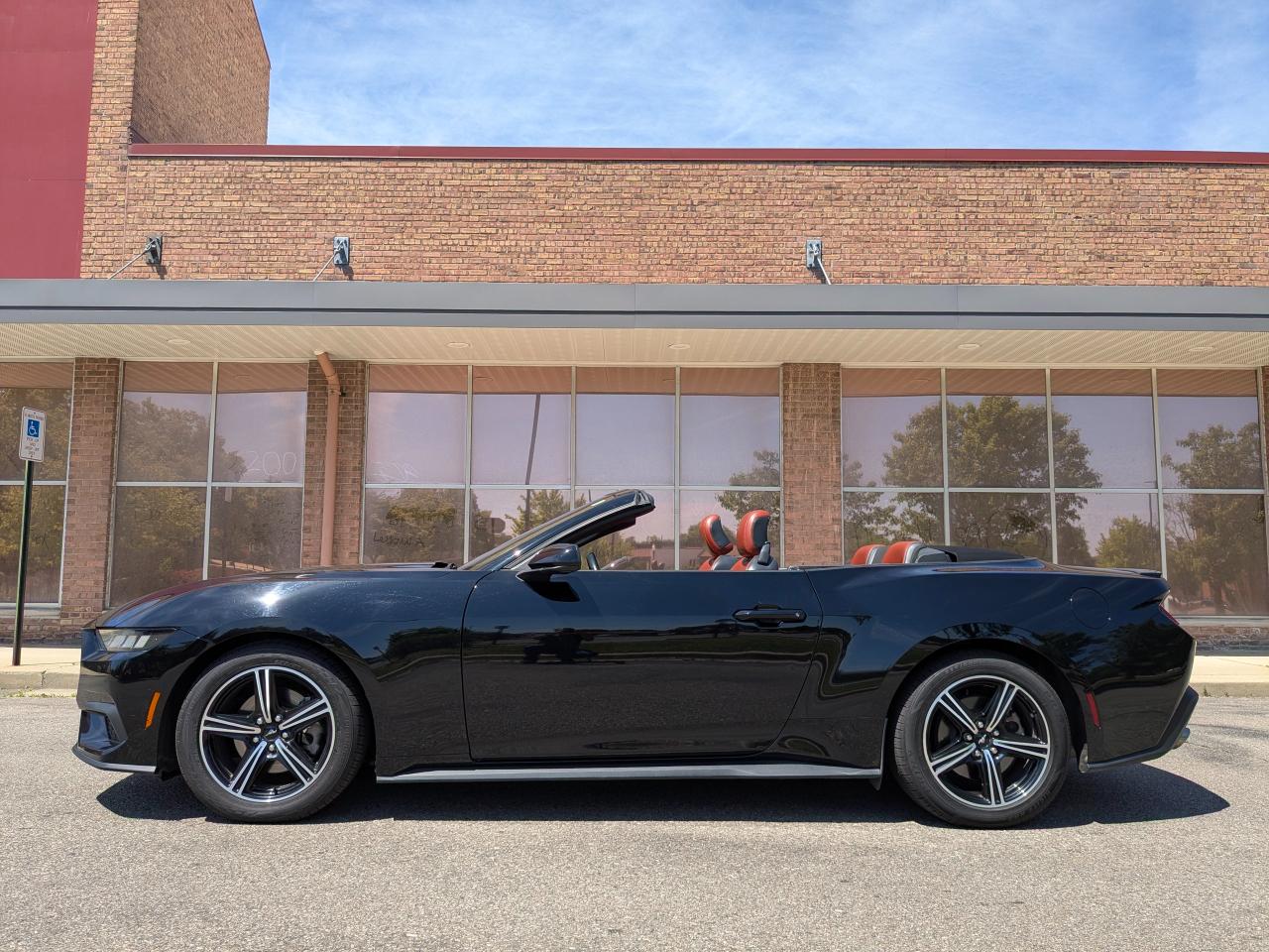 Ford Mustang EcoBoost Premium Convertible 2024