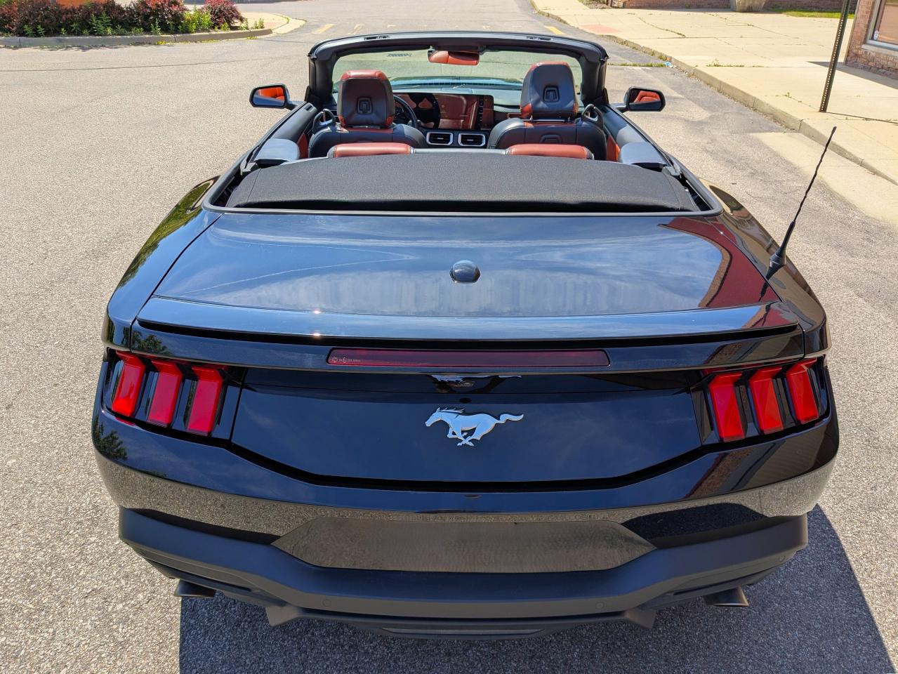 Ford Mustang EcoBoost Premium Convertible 2024
