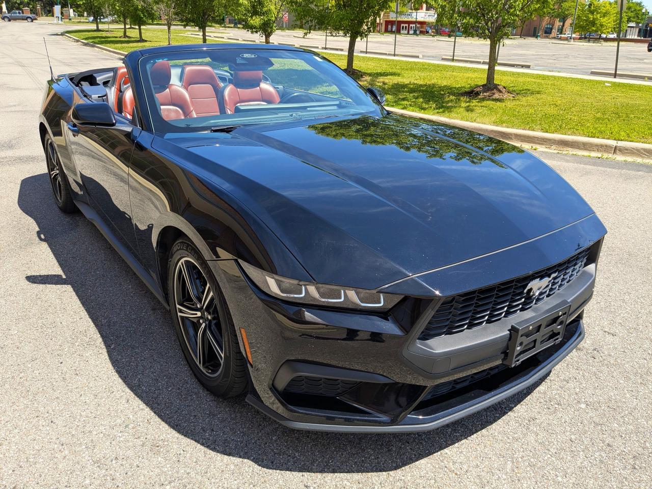 Ford Mustang EcoBoost Premium Convertible 2024