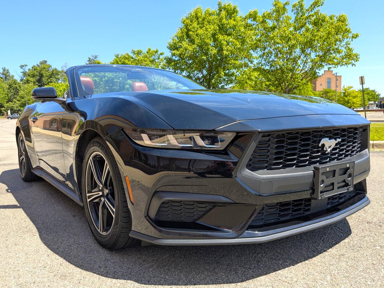 Ford Mustang EcoBoost Premium Convertible 2024