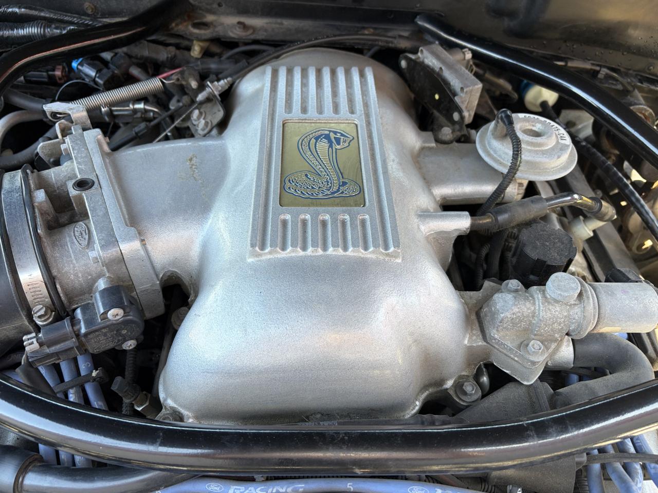 Ford Mustang 2dr Convertible Cobra 1997