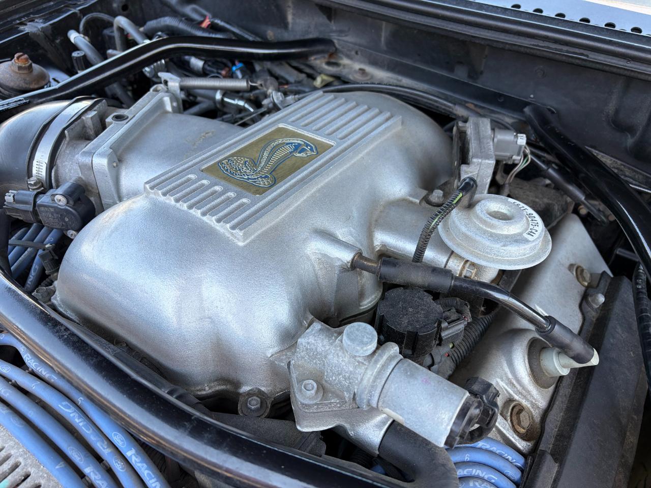 Ford Mustang 2dr Convertible Cobra 1997