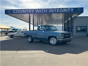 1989 Chevrolet 1500 Reg Cab 117.5"
