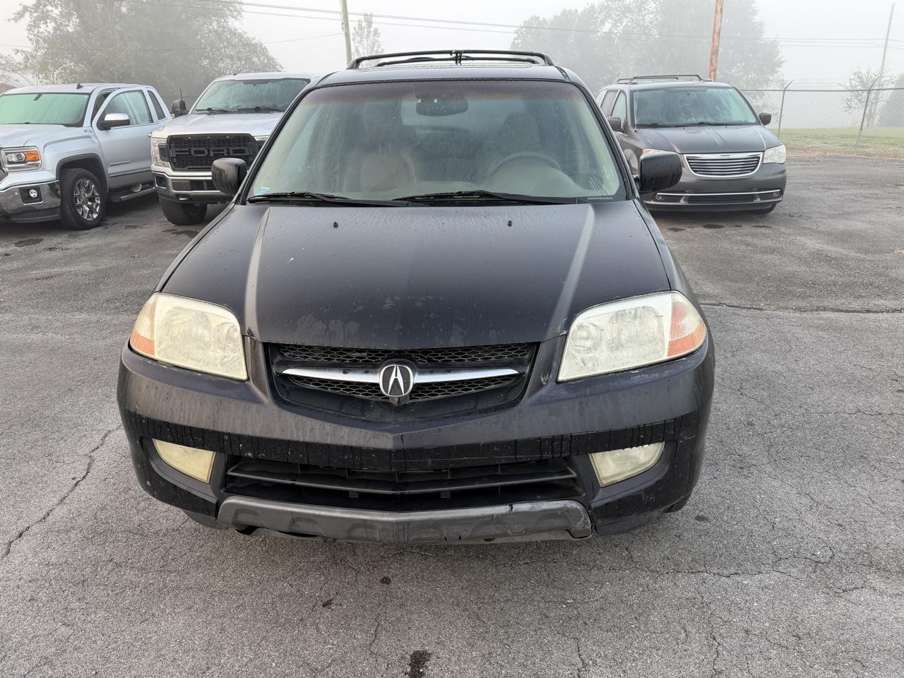 Acura MDX 4dr SUV Touring Pkg 2003