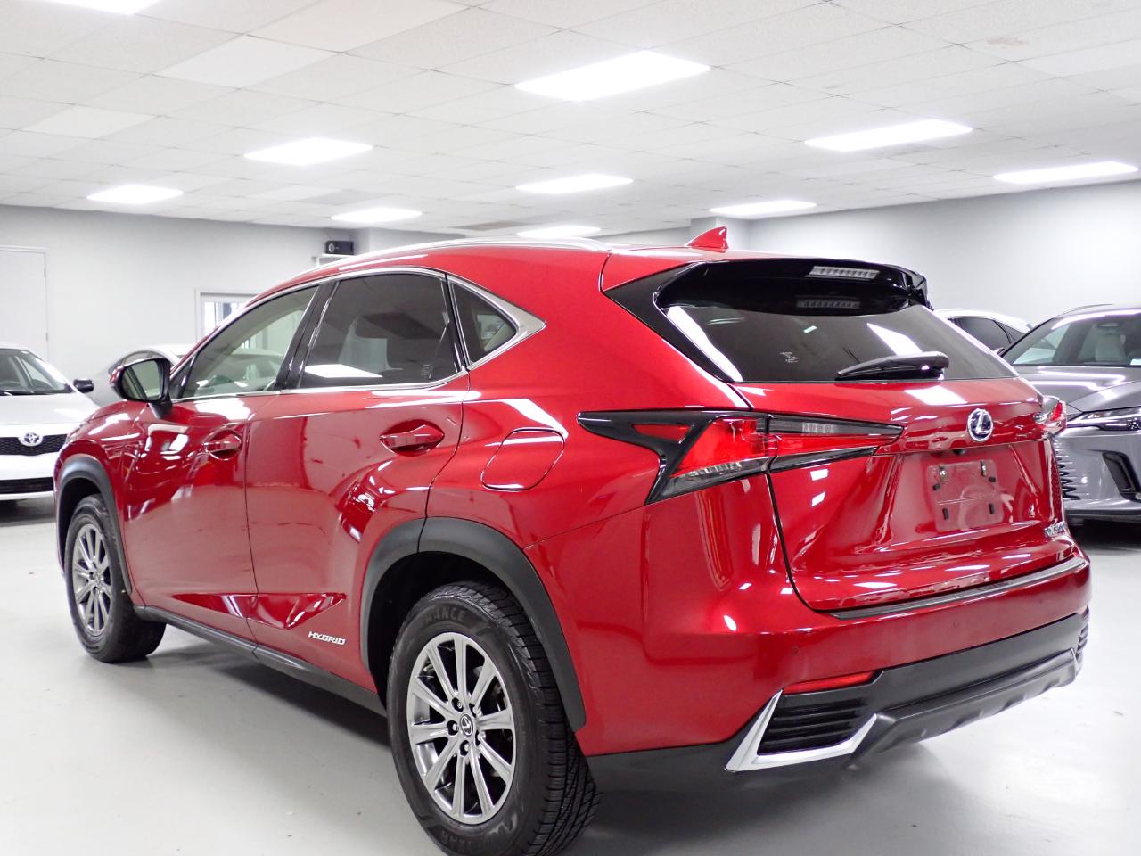 Lexus NX 300h  2019