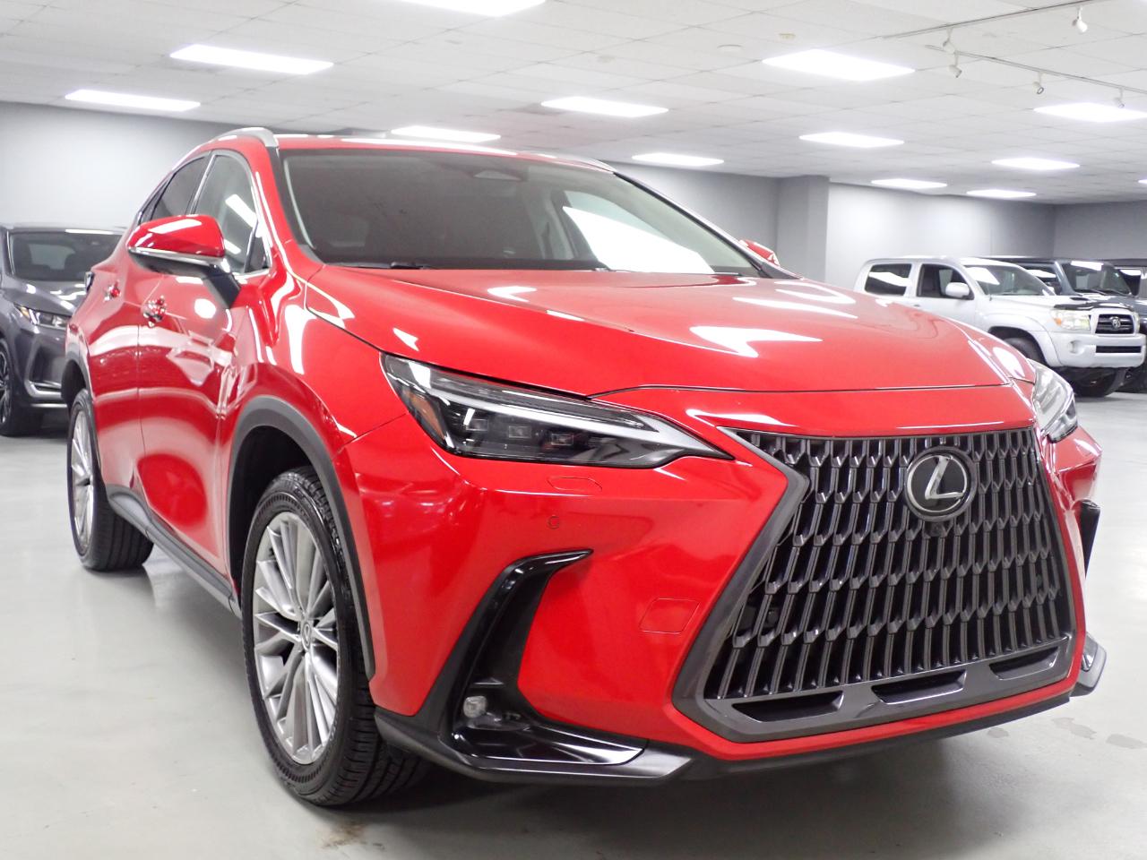 2024 Lexus NX 350 Luxury AWD
