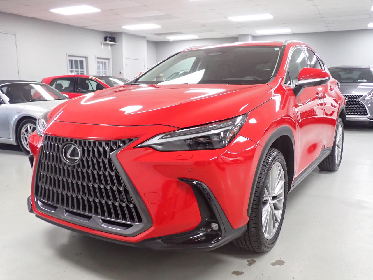 Lexus NX 350 Luxury AWD 2024
