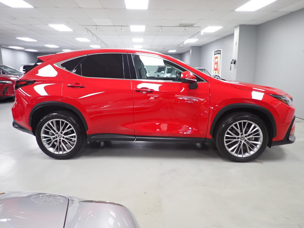 Lexus NX 350 Luxury AWD 2024