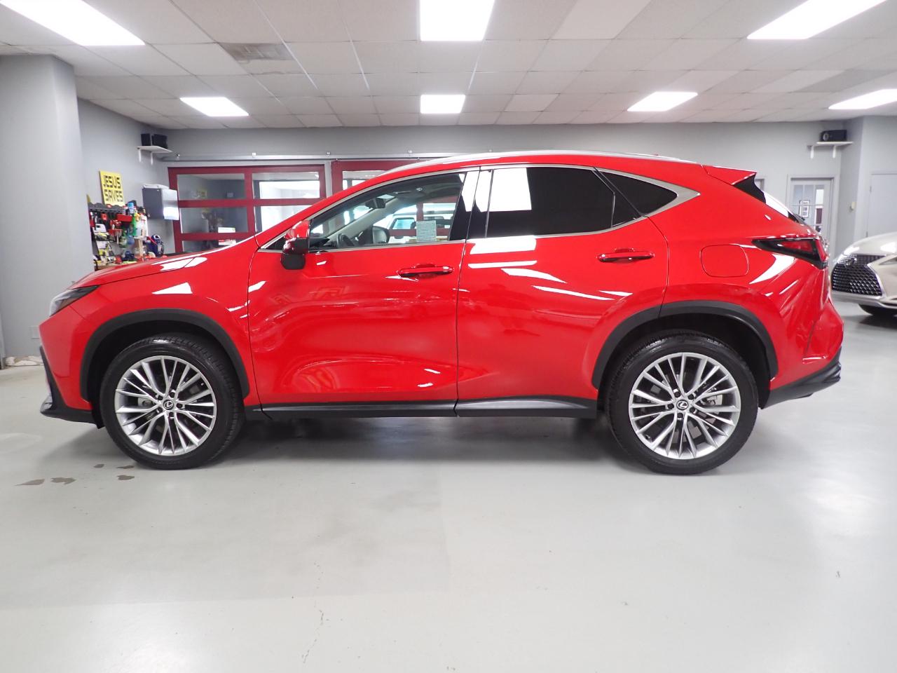 Lexus NX 350 Luxury AWD 2024