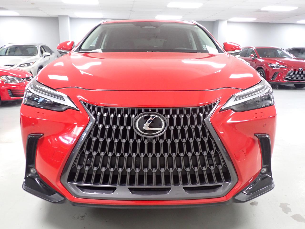 Lexus NX 350 Luxury AWD 2024