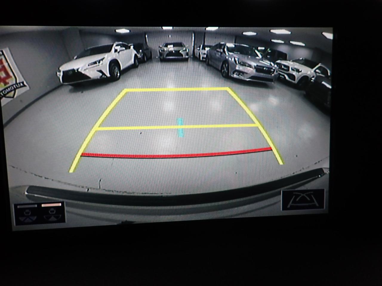 Lexus RX 350  2021