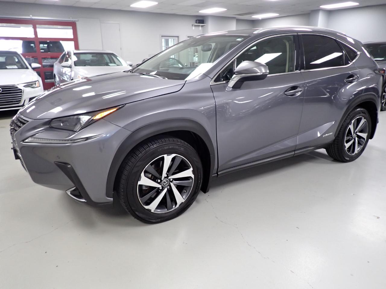 Lexus NX 300h Premium 2020