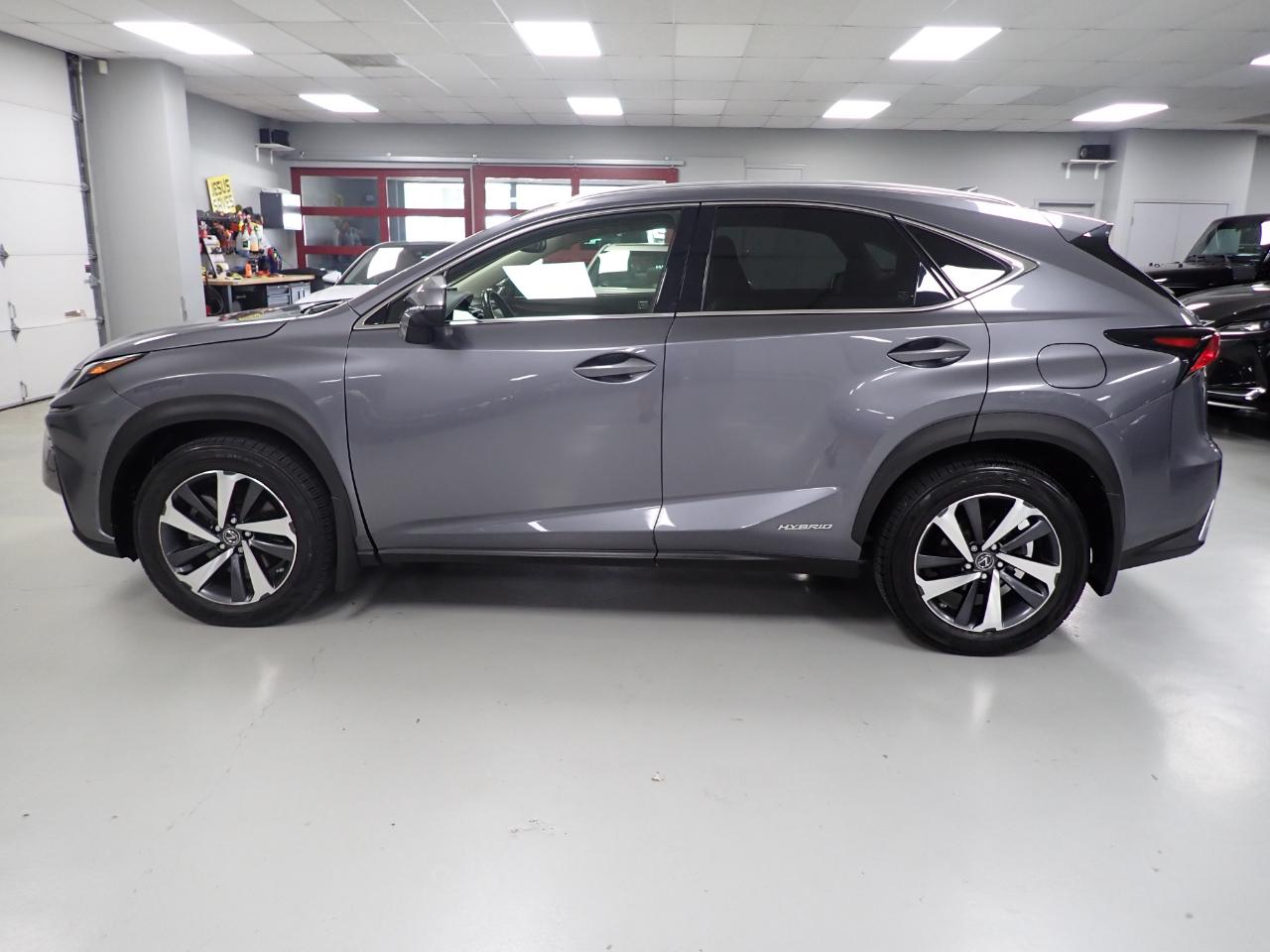 Lexus NX 300h Premium 2020