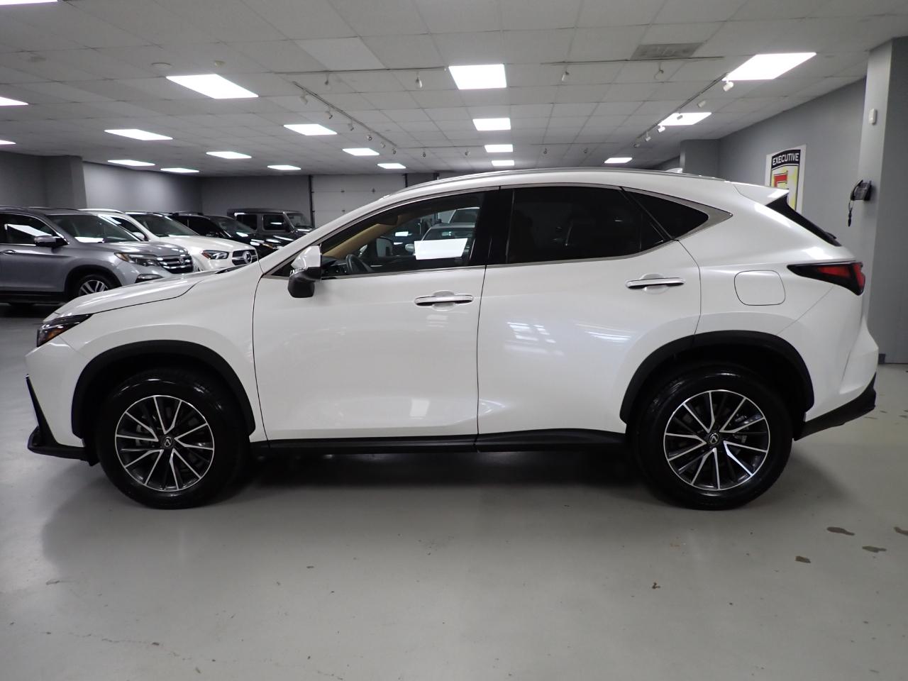 Lexus NX 350 AWD 2024