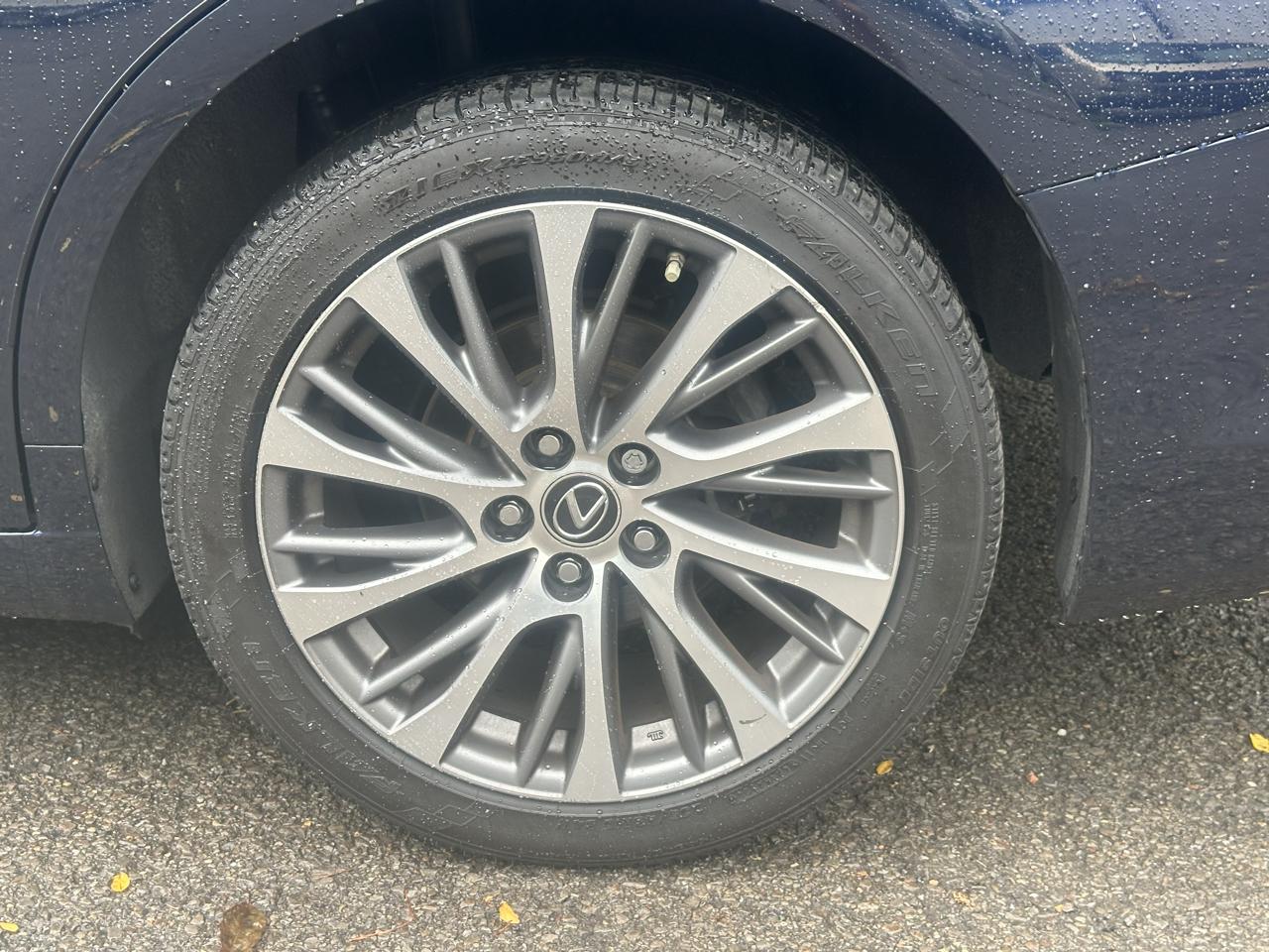 Lexus ES 250 Premium 2021