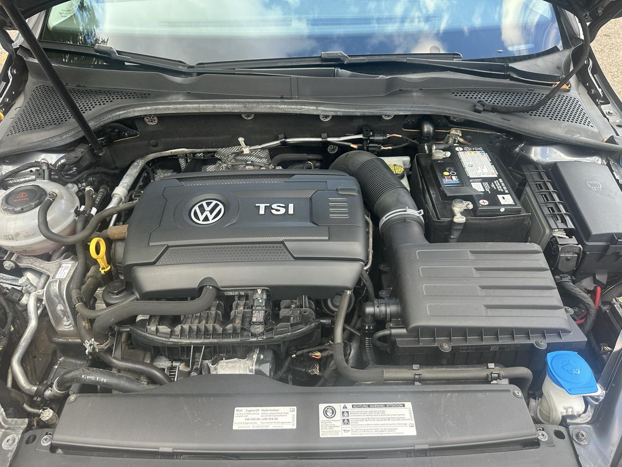 Volkswagen Golf SportWagen 1.4T S 4Motion 6A 2019