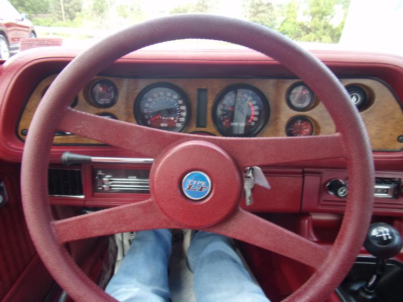 Chevrolet Camaro LT  1975