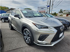 2020 Lexus NX 