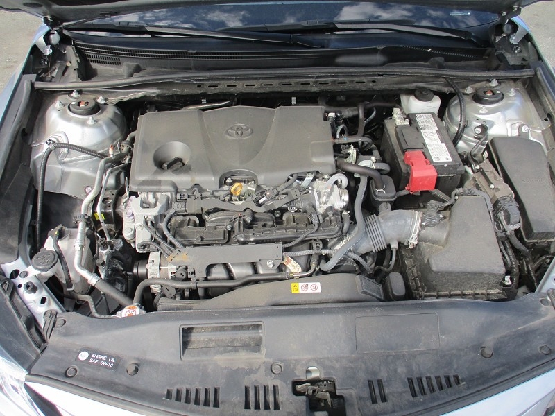 Toyota Camry LE Auto (Natl) 2023