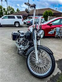 2006 Harley-Davidson FLSTF