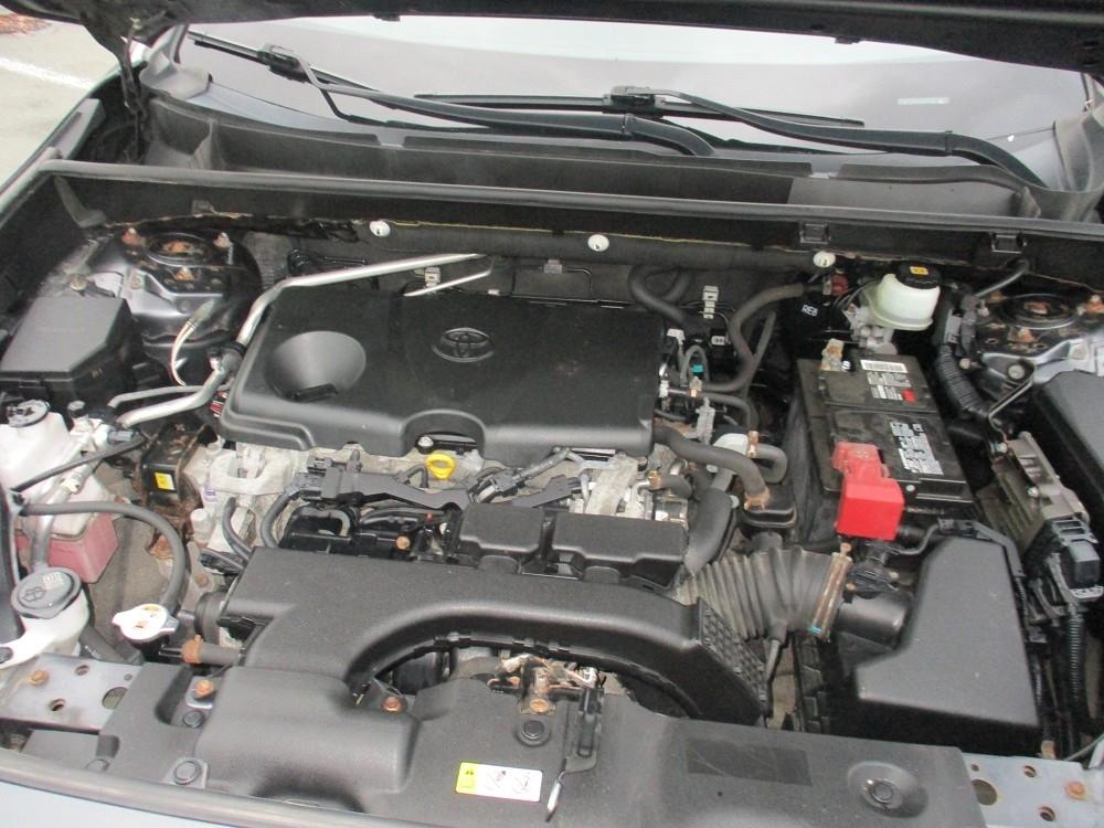 Toyota RAV4 XLE AWD (Natl) 2019