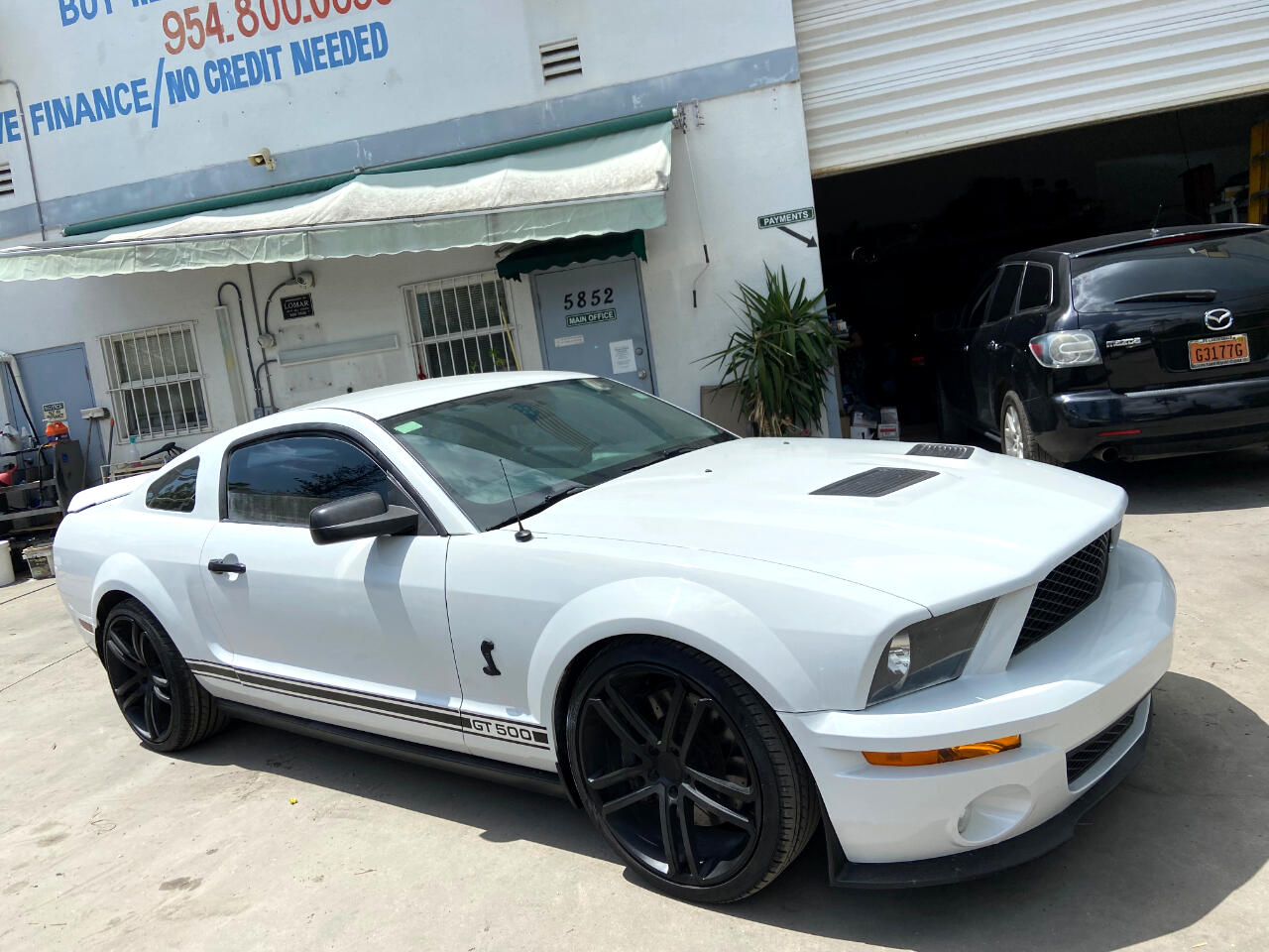 Ford Shelby GT500 Shelby GT500 2007