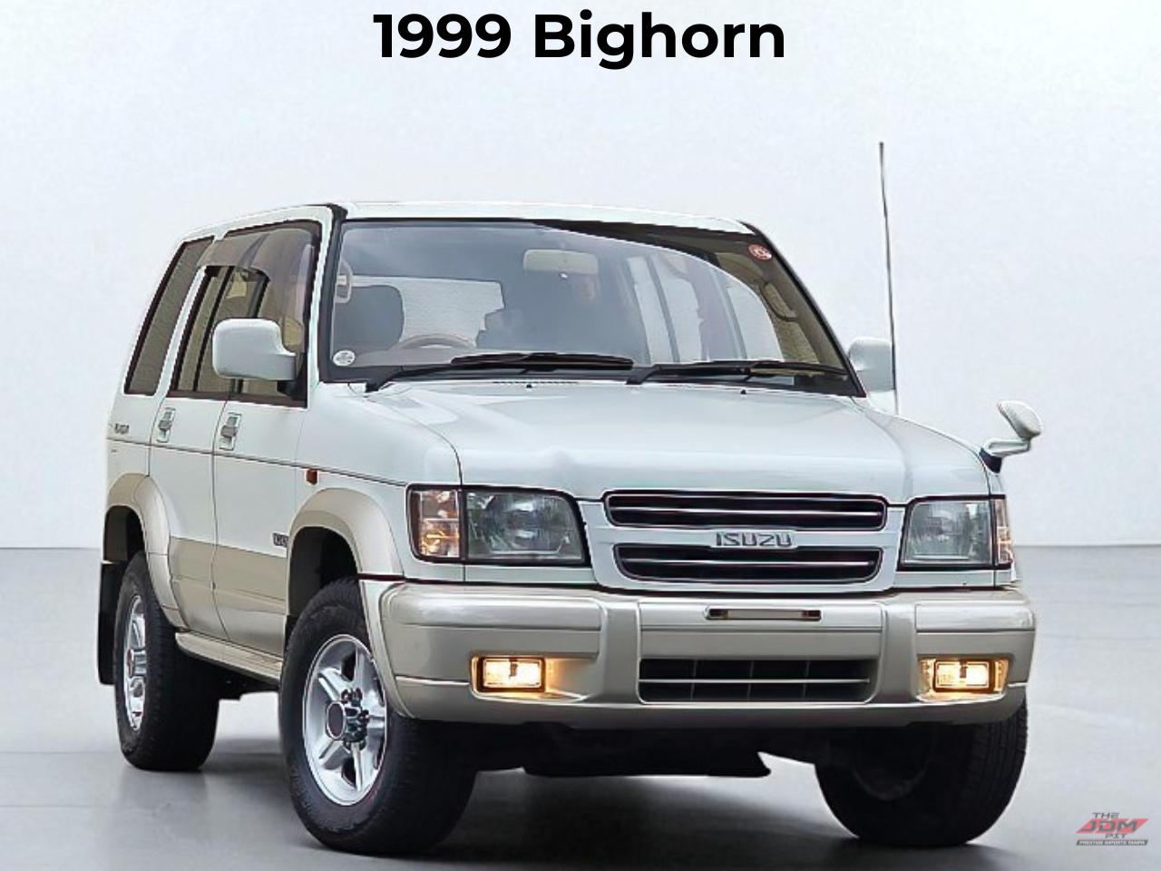 1999 Isuzu Trooper Bighorn Plaisir