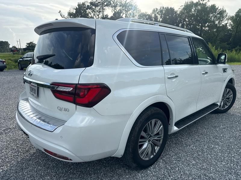 Infiniti QX80 LUXE 2019
