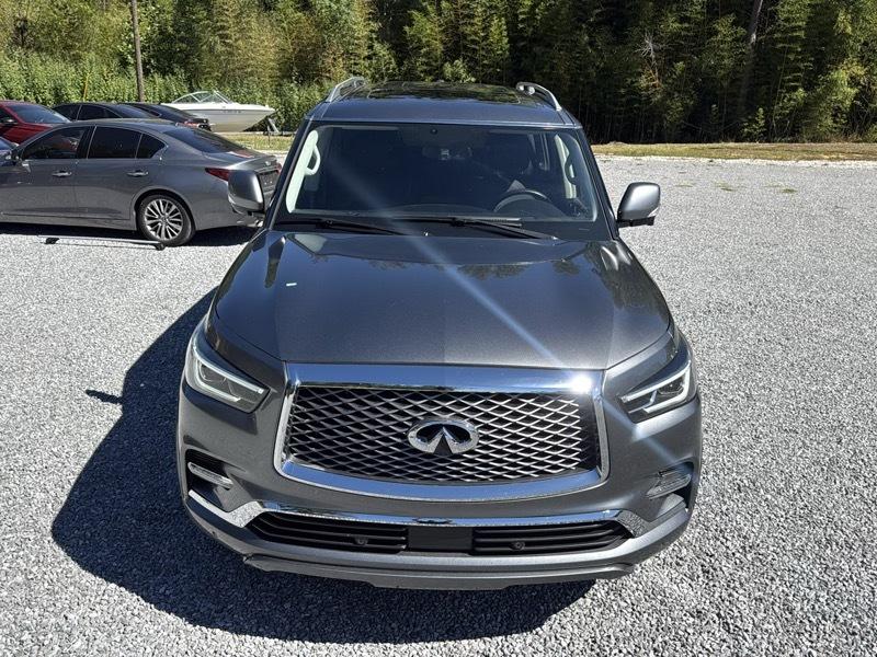 Infiniti QX80 2WD 2018