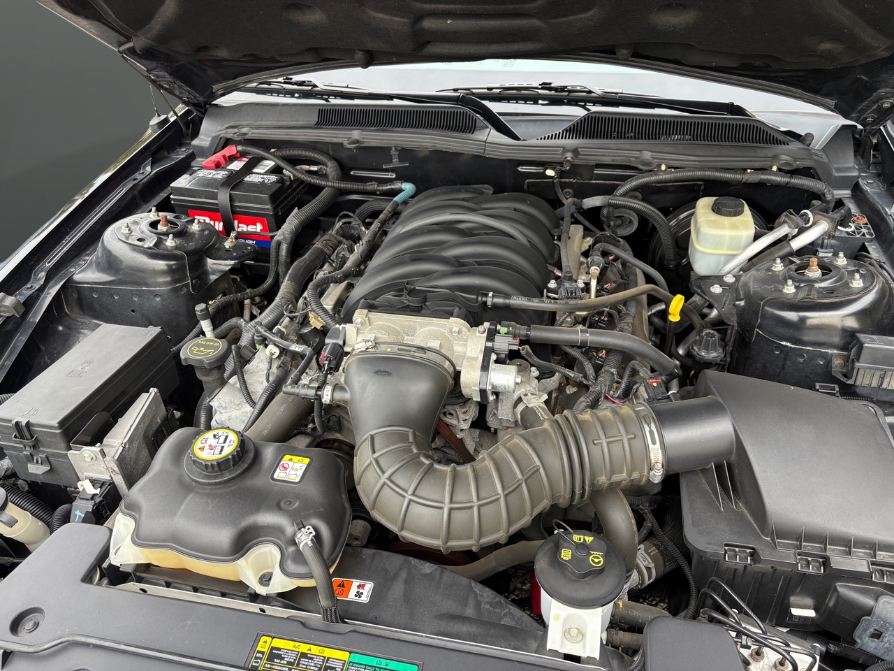 Ford MUSTANG GT  2005