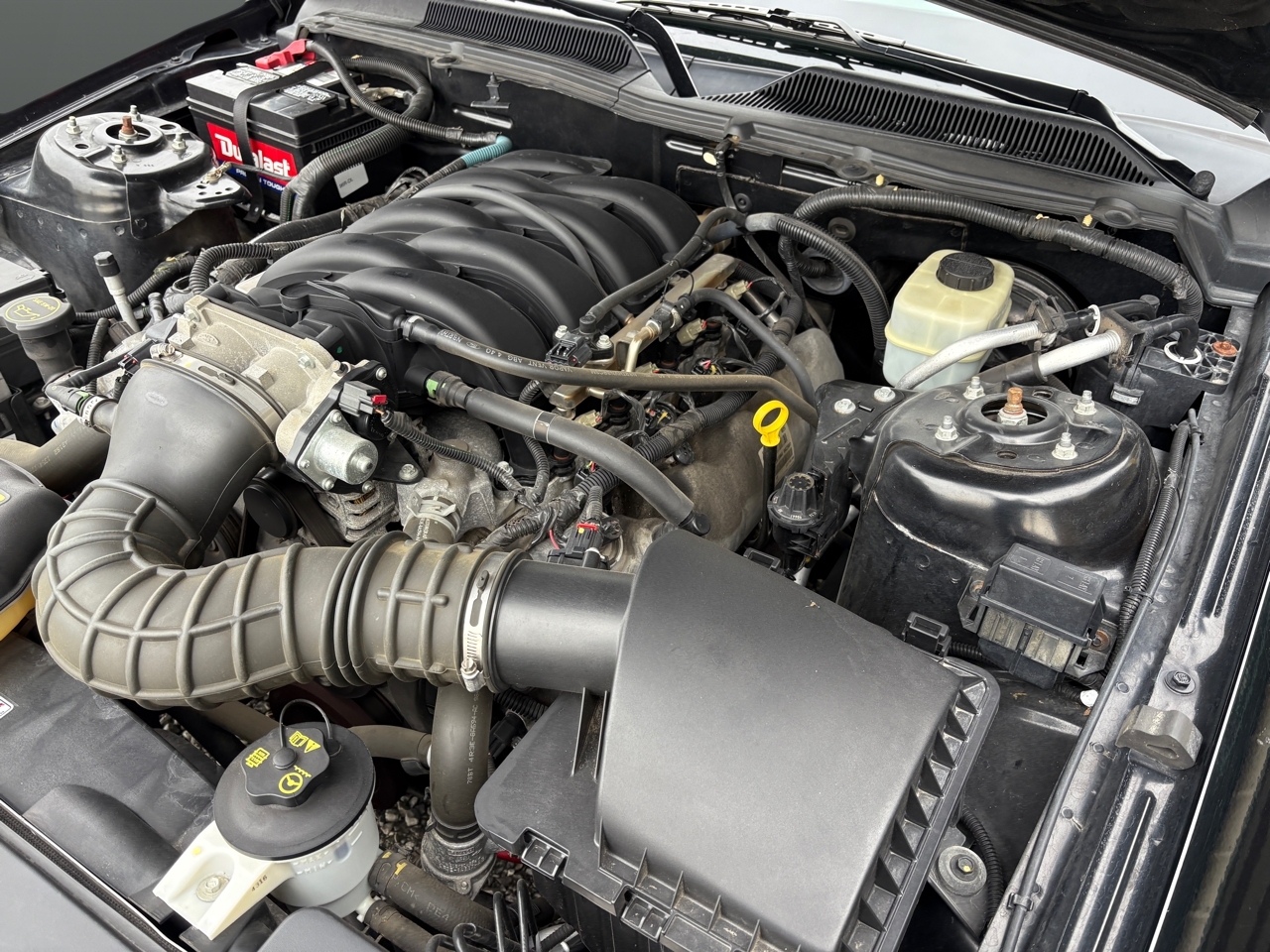 Ford MUSTANG GT  2005