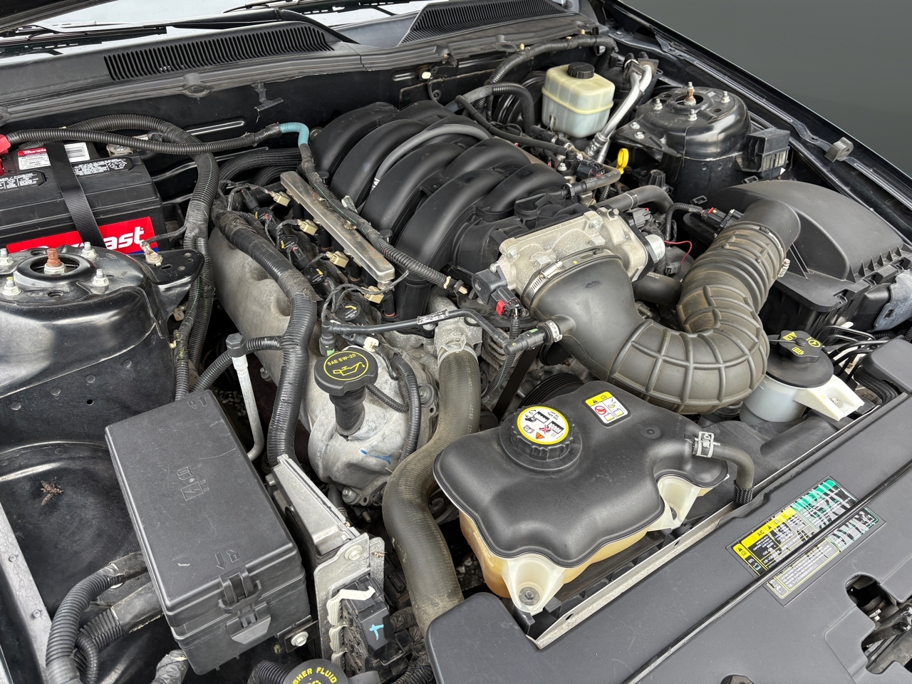 Ford MUSTANG GT  2005