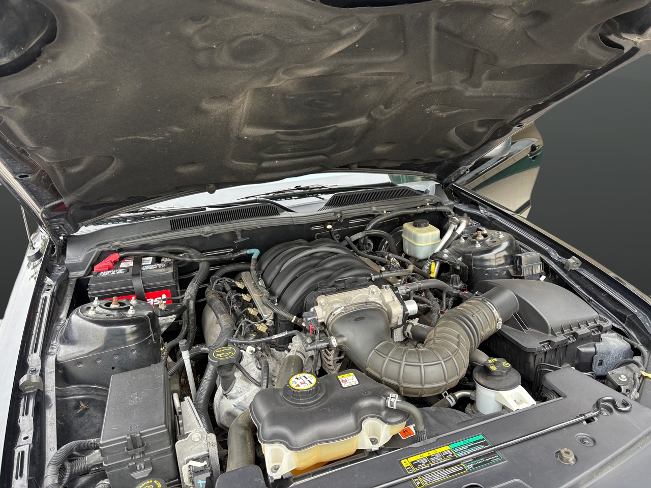 Ford MUSTANG GT  2005