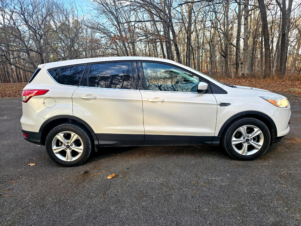 Ford Escape FWD 4dr SE 2013