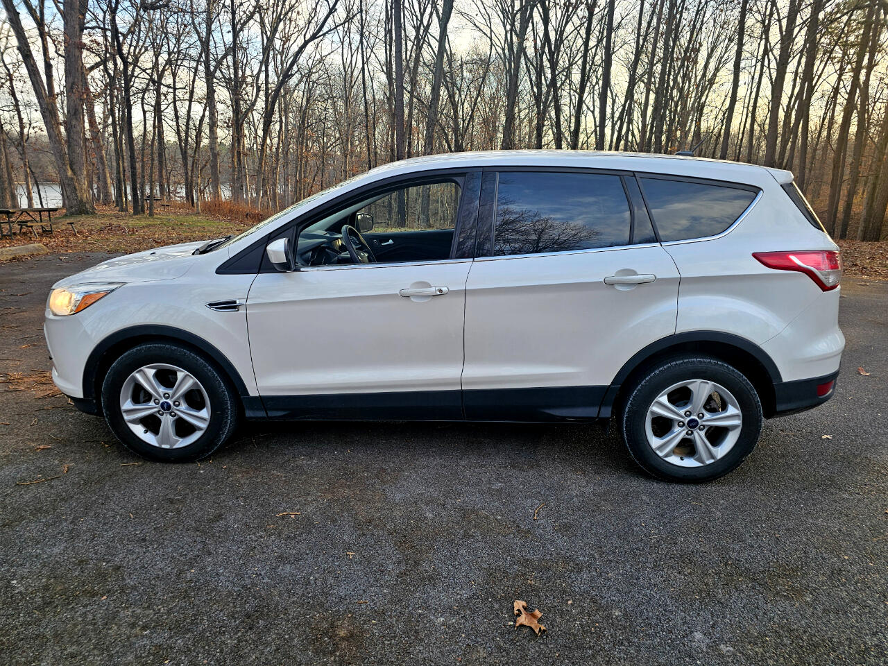 Ford Escape FWD 4dr SE 2013