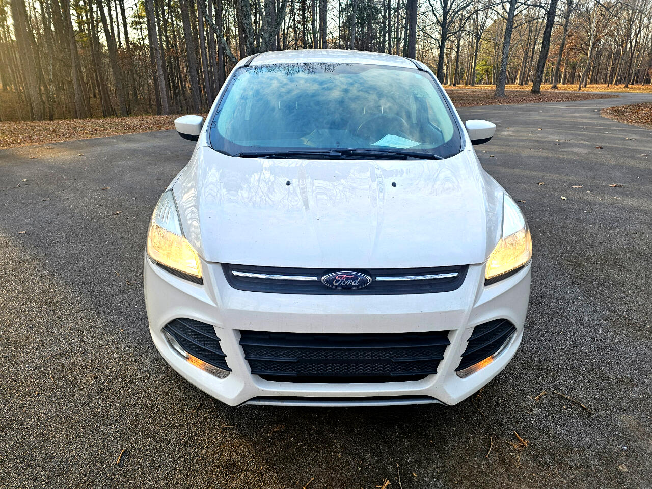 Ford Escape FWD 4dr SE 2013