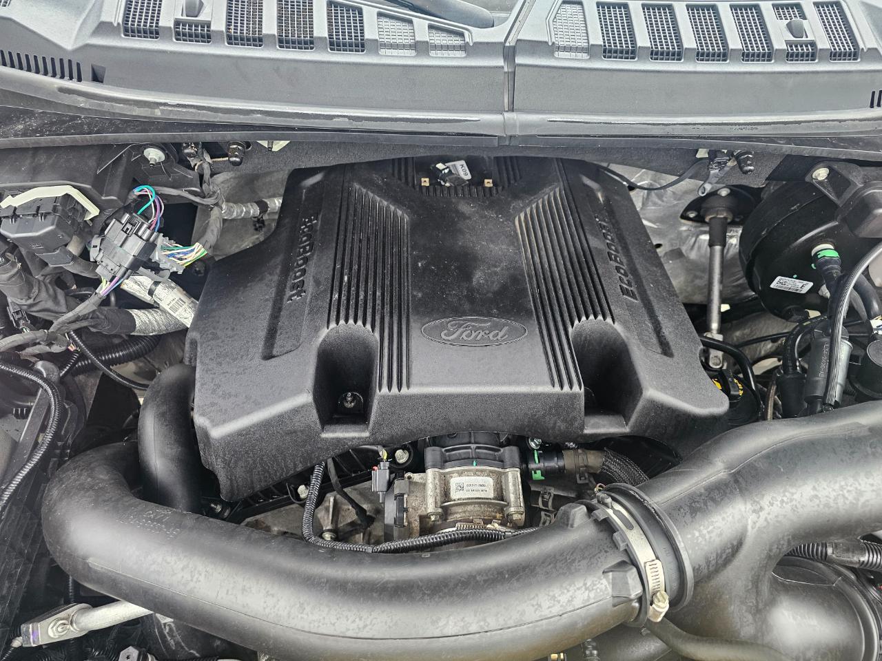 Ford F-150 4WD SuperCrew 145" XLT 2019