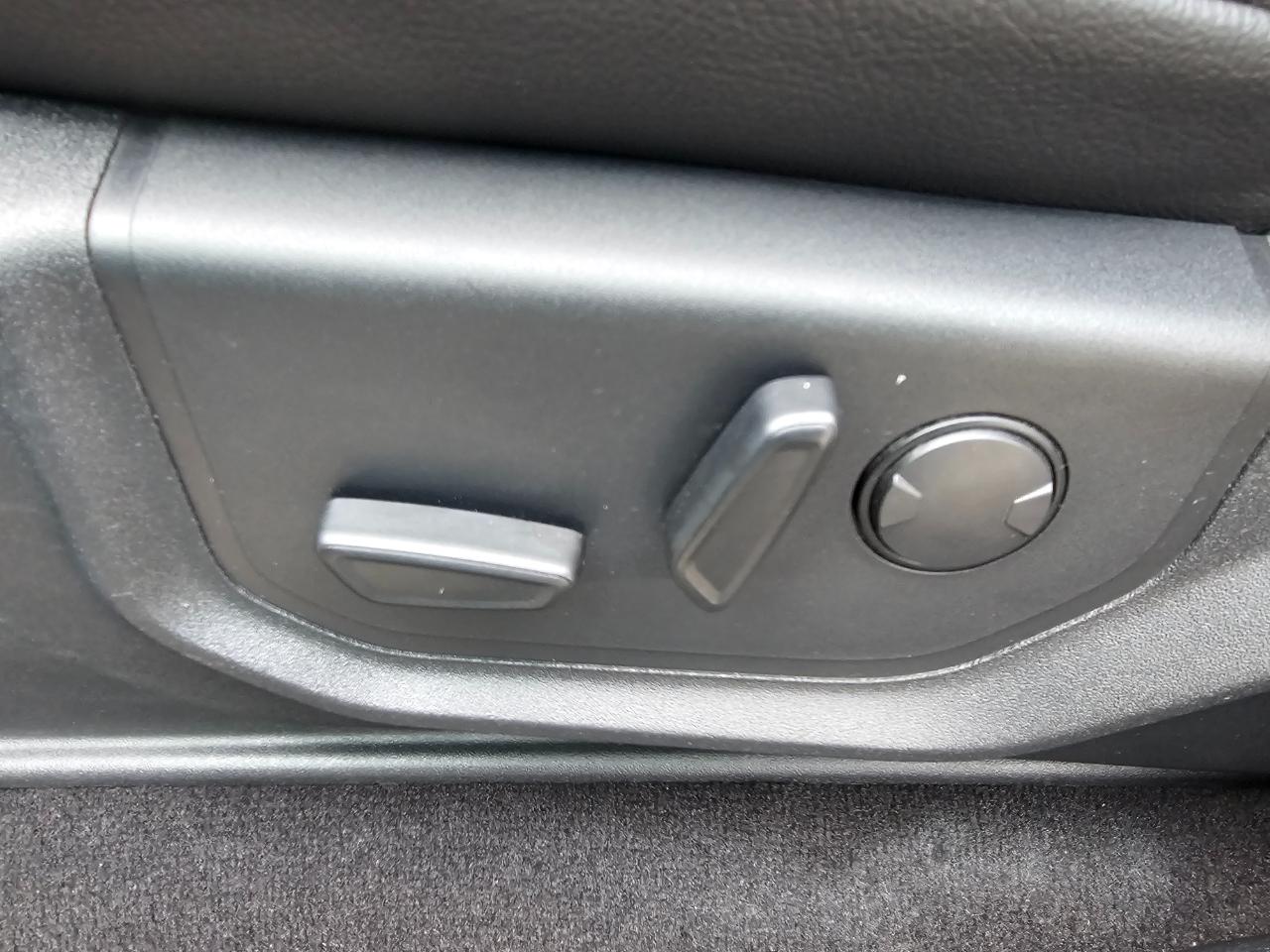 Ford F-150 4WD SuperCrew 145" XLT 2019