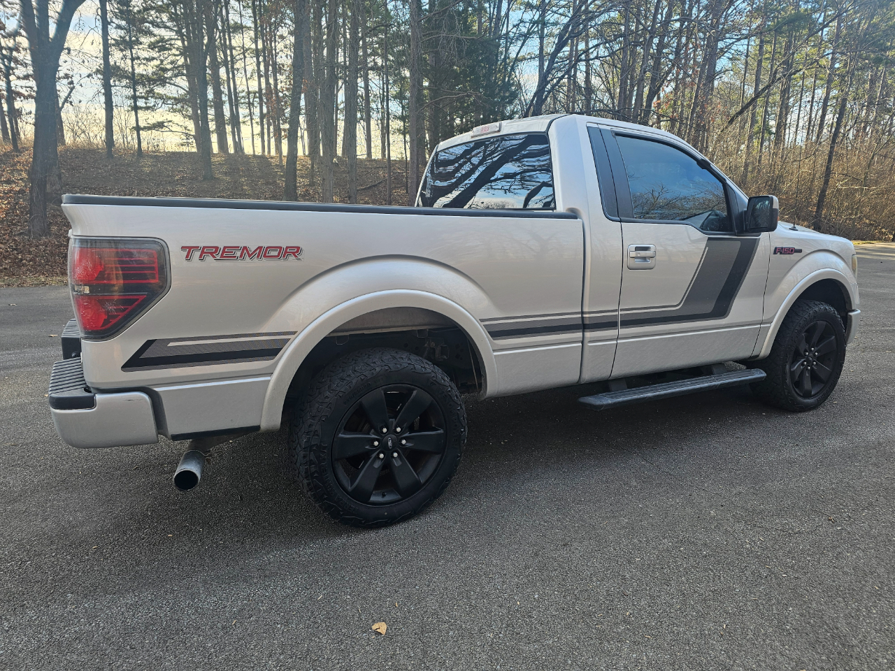 Ford F-150 4WD Reg Cab 126" FX4 Tremor 2014