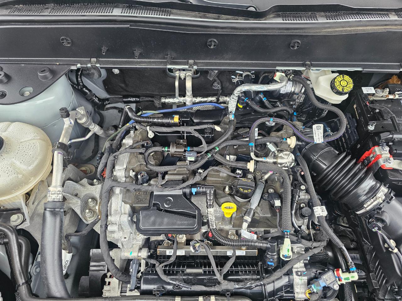 Ford Bronco Sport Big Bend 4x4 2024