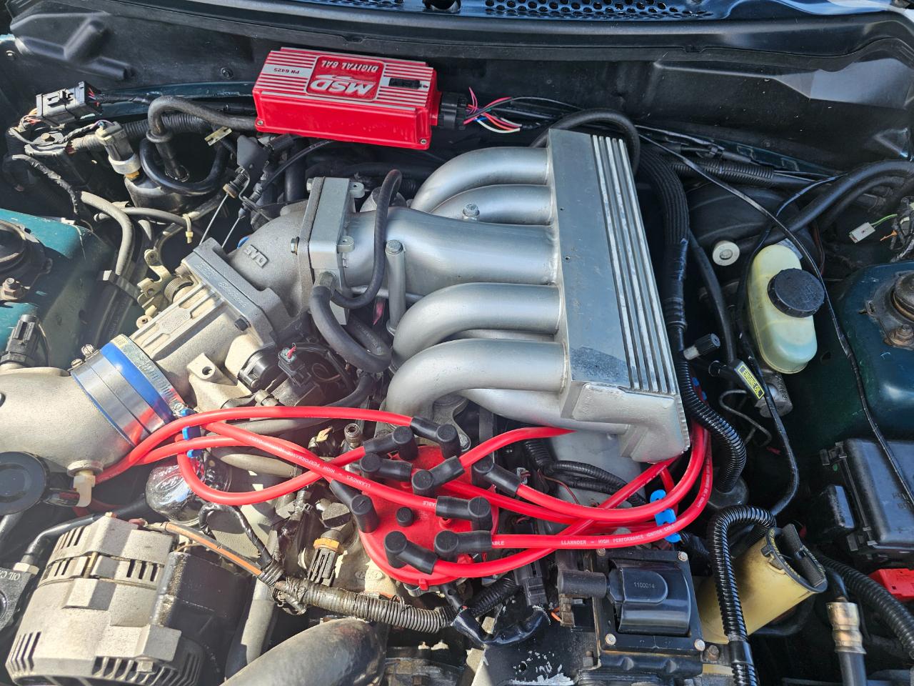 Ford Mustang 2dr Coupe GTS 1995